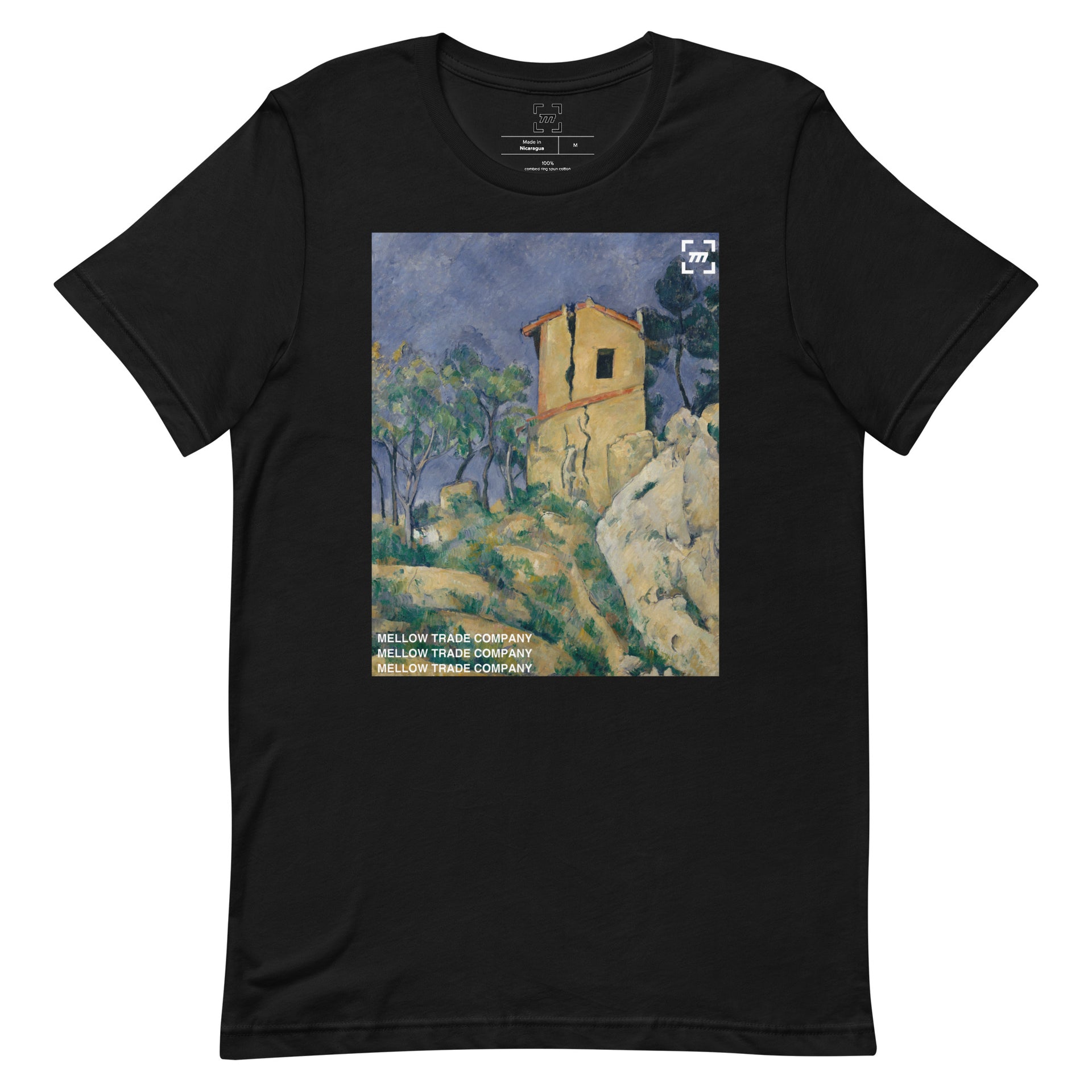 House with the Cracked Wall Graphic T-Shirt